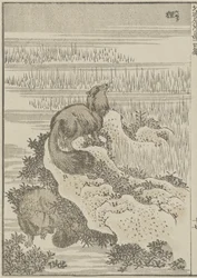 Blaireau, c. 1840
