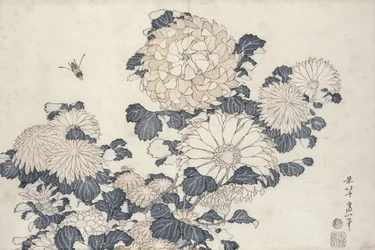 Abeille et chrysanthèmes, de la série 