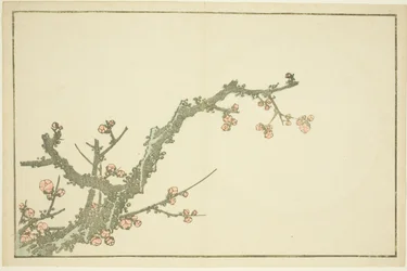 Prunier en fleurs, du Livre d