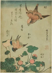 Pie-grièche à tête rousse et merlebleu avec saxifrage et fraise des bois (Mozu, ruri, yukinoshita, hebi-ichigo), d