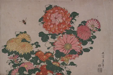 Chrysanthèmes et taons