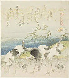 Grues au bord de la rive, illustration pour La Coquille de la Jambe, de la série "Un jeu d