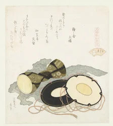 La coquille de pluvier