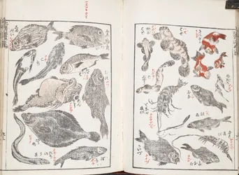 Poissons et créatures marines