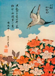 Hototogisu satsuki Coucou et Azalée, c1828, 1936