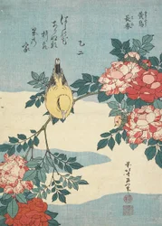 Rossignol Japonais et Bouquet de Roses, c. 1832
