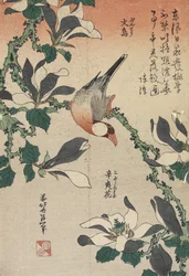 Moineau de Java et Magnolia, c. 1832