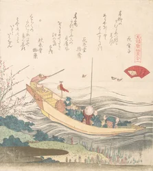 Coquille de Miyako