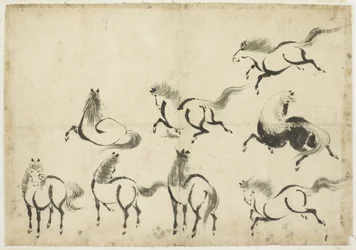 Études de chevaux