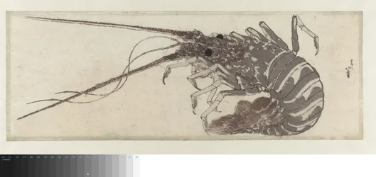Le Homard
