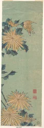 Chrysanthèmes jaunes sur fond bleu