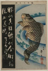 Carpes et herbes aquatiques, début des années 1830
