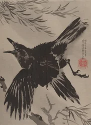 Corbeau et saule, novembre 1887