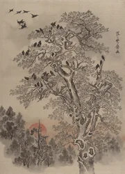 Vol de Corbeaux à l