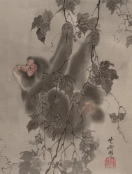 Singe suspendu à des vignes, vers 1887