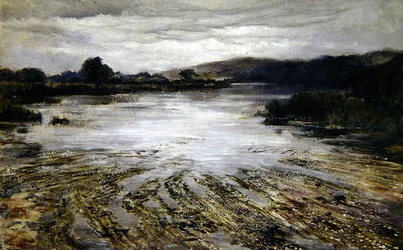 Herbe de rivière