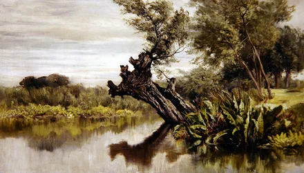 Le saule