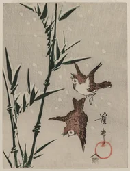 Moineaux, bambou et neige tombante
