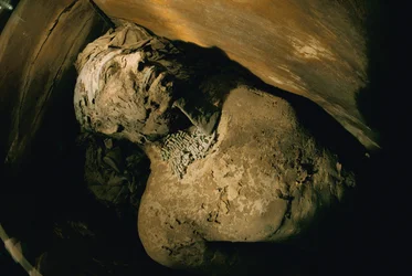 Égypte; Archéologie; Ancien Empire; Saqqara; Momie; Nefer; Tombe, 5e Dynastie