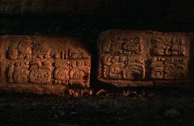 Maya, Guatemala, Escalier de Dos Pilas