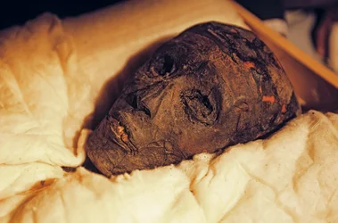 Tête et visage de la momie du roi Toutankhamon, 2005
