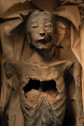 Momie de la mère du roi Toutankhamon (connue sous le nom de la Dame plus jeune)