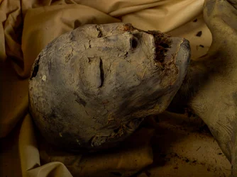 Momie de la mère du roi Toutankhamon (connue sous le nom de la Dame Jeune)
