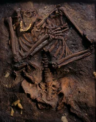 Néandertal, moulage peint, grotte de Kebara, Mont Carmel, "Moshe", vers 60 000 BP, Israël