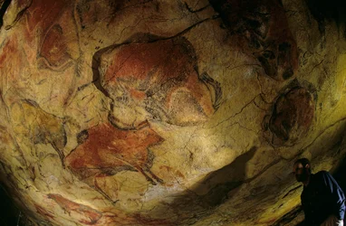 La galerie des bisons, grotte d
