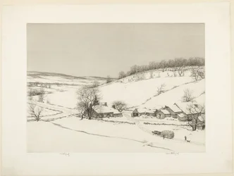 Arbres de Noël