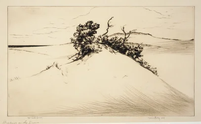 Ombres sur les dunes