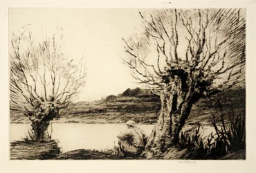 Les Saules,