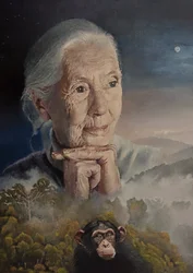 Nous Sommes Tous Connectés (La Sagesse de Jane Goodall)