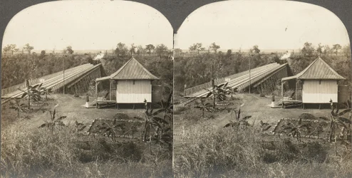 Groupe de 14 stéréographes d