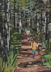 Forêt d
