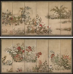 Fleurs et herbes