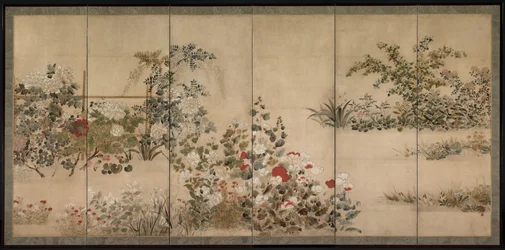 Fleurs et herbes