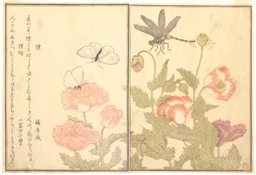 Papillon (Chō) ; Libellule (Kagerō ou Tonbo), du Livre d