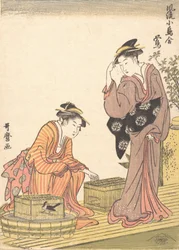 Rossignol du Japon, 1754-1806