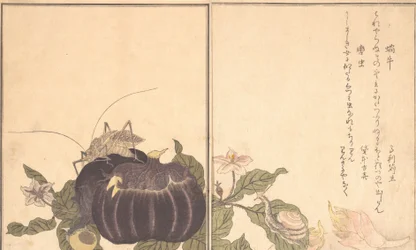 Escargot Terrestre Katatsumuri, Grande Sauterelle Kutsuwamushi