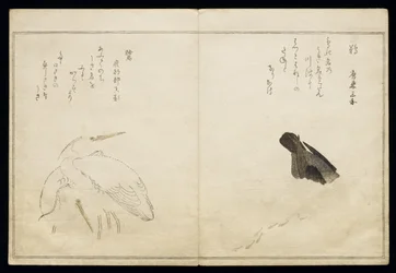 P.332-1946 Vol.1 f.4 Cormoran à droite et deux hérons neigeux à gauche, d