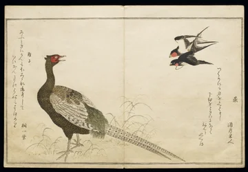 P.332-1946 Vol.1 f.6 Paire d
