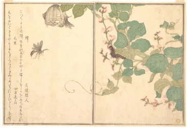 Guêpe poliste (Hachi) ; chenille velue (Kemushi), du Livre illustré des créatures rampantes (Ehon mushi erami)