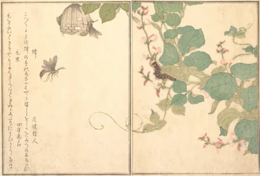 Guêpe de papier Hachi, chenille poilue Kemushi..., 1788