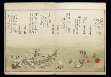 Shiohi no tsuto (Cadeaux de la marée descendante), connu sous le nom de Livre des coquillages, 1789