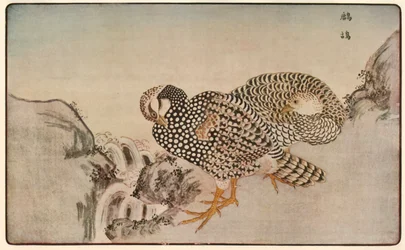 Faisans, 1789