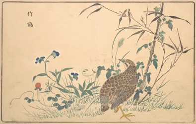 Zhu ji, 1789