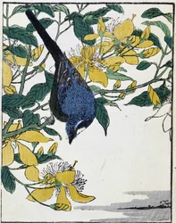 Oiseau sur un arbre. Dessin japonais par Kitao Kosuisai