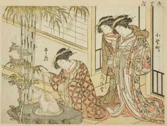 Courtisanes de Maruya, du livre "Miroir des belles femmes des quartiers de plaisir (Seiro bijin awase sugata kagami)," vol. 2