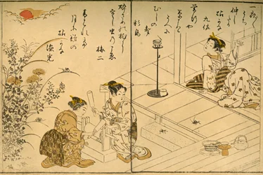Le Kinuta, 1775, 1924
